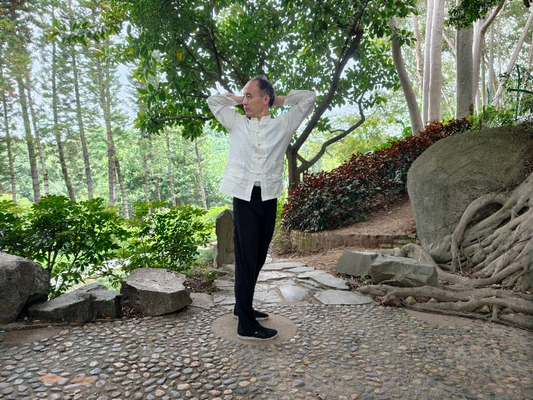 Flow with Nature: Mindful Movement and Stillness with Yijin Jing