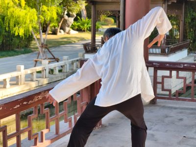 A Movement-Based Approach to Shoulder Ease and Natural Mobility