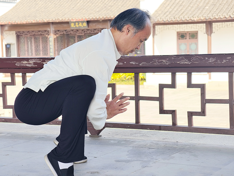Yi Jin Xi Sui Jing Internal Exercises Back Rehabilitation Program